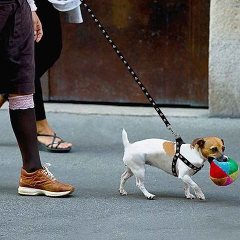 harnais-avec-laisse-integree-pattes-douces-noir