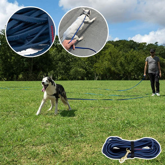 Laisse pour chien | WaterPet™