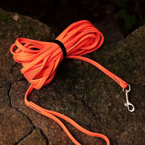 Laisse pour chien | WaterPet™