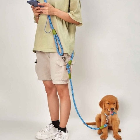 longe chien bleu mains libres