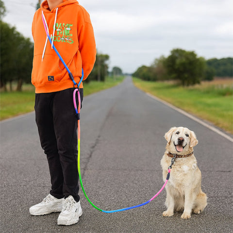 un homme en balade dans la campagne avec son golden retriever retenu par la longe chien mains libres