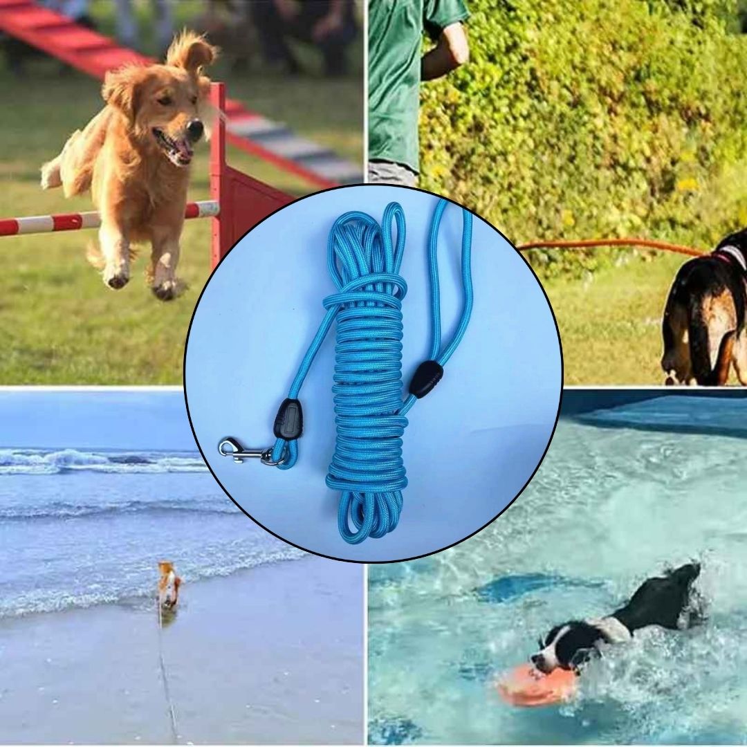 Longe pour chien | Trail Longe™