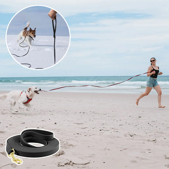 Longe pour chien| Trailblazer™