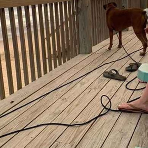 a la plage longe pour chien securitaire