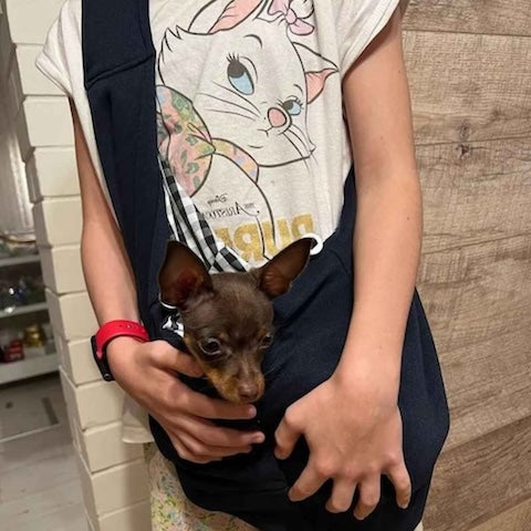 petit tresor dans son sac transport chien noir