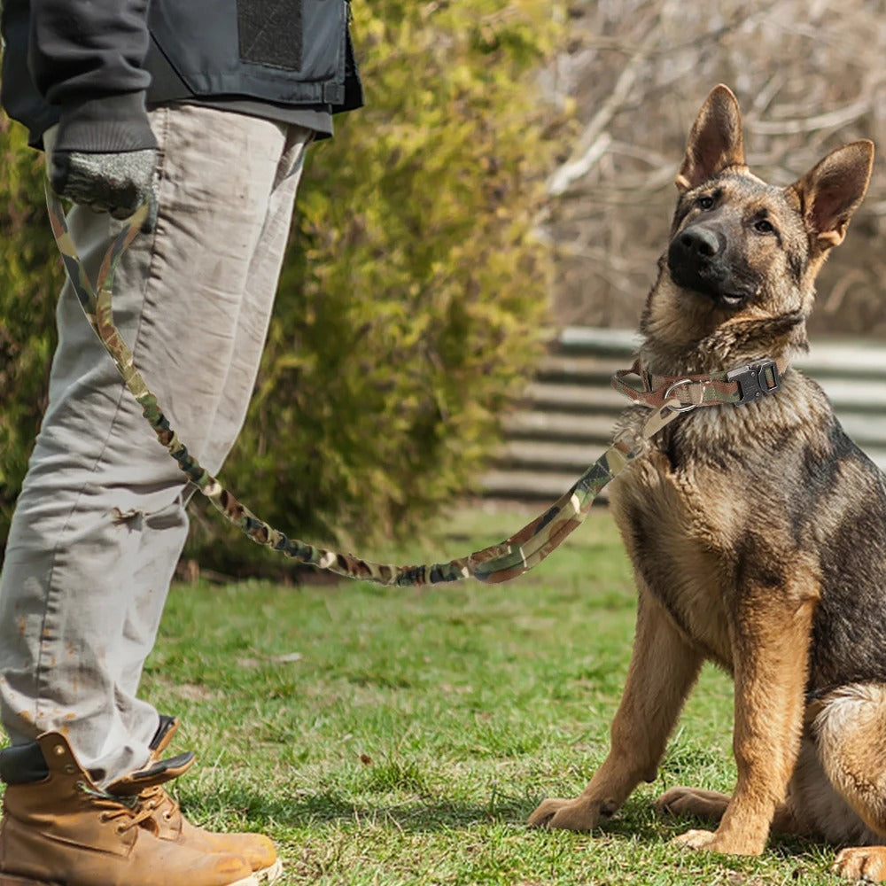 Collier chien | TrackDog™