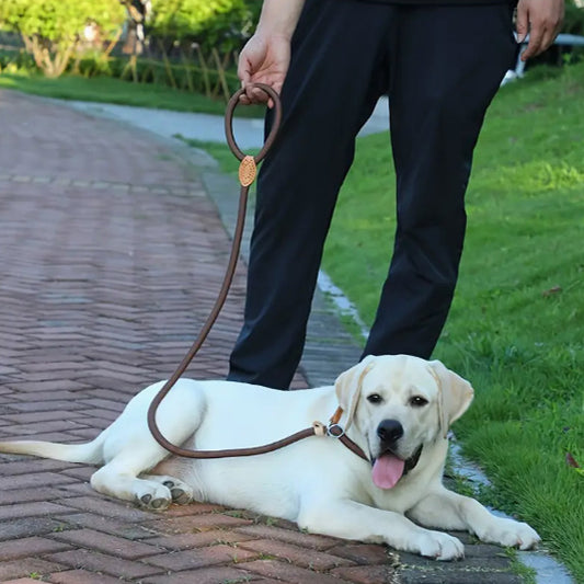 Homme-et-la-laisse-chien-au-repos