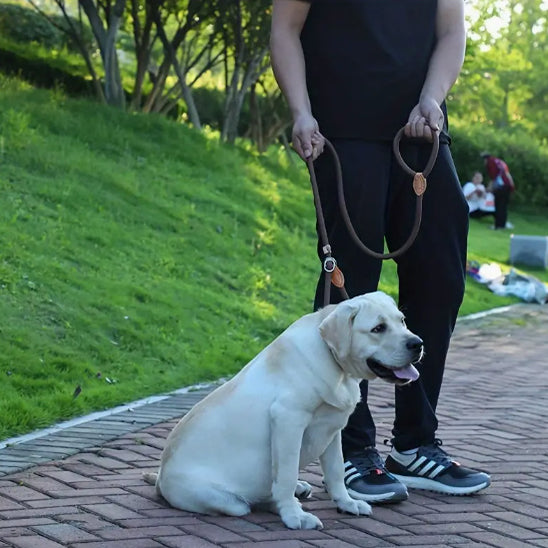 homme-en-controle-avec-la-laisse-chien