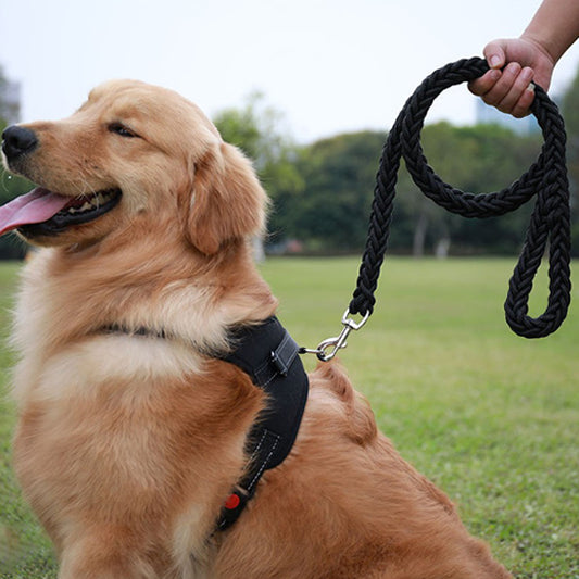 laisse-de-chien-noir