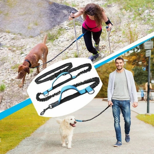 Laisse pour chien en randonnée en montagne ou balade en ville