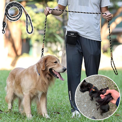 Laisse pour chien | Traindog™