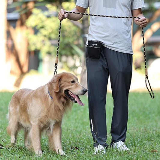 Laisse pour chien | Traindog™