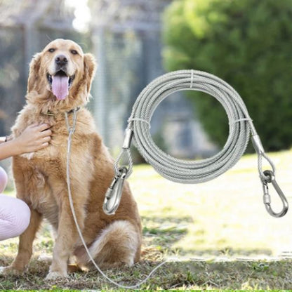 longe pour chien longueur différente