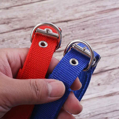 collier chien couleur rouge ou bleu