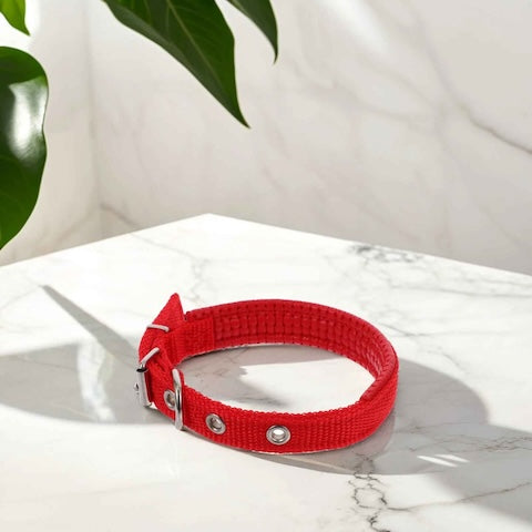 collier-chien-powerful-rouge