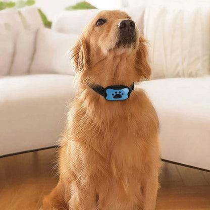 collier de dressage pour chien sonore