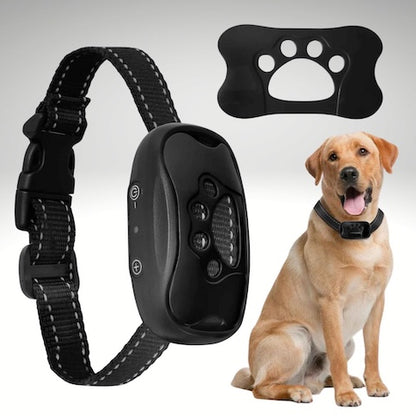 collier de dressage pour chien soundcontrol couleur noir