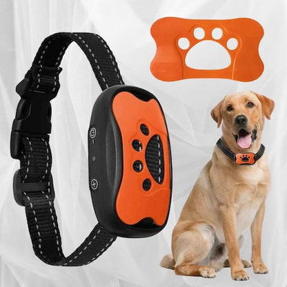 collier de dressage pour chien soundcontrol coueur orange