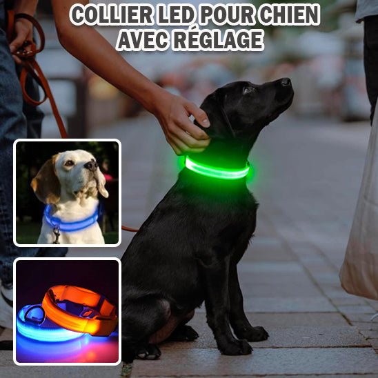 Collier Lumineux Chien LED - Pitou a Tout