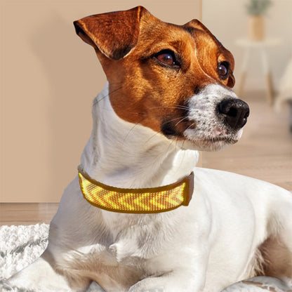 jack russell terrier coucher portant son nouveau collier lumineux pour chien jaune