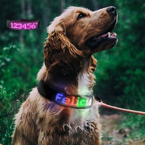 collier-lumineux-pour-chien-rose