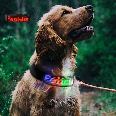 collier-lumineux-pour-chien-rouge