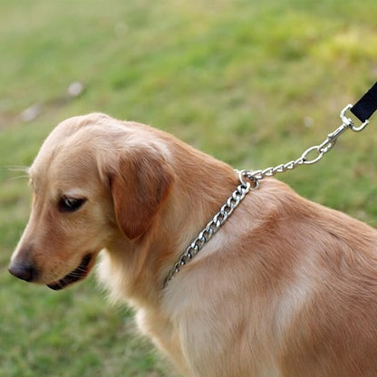 obeissace avec notre collier pour chien de dressage