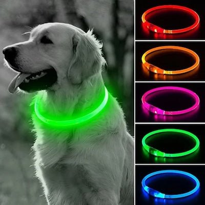 Collier pour Chien - Sécuritaire - Pitou a Tout