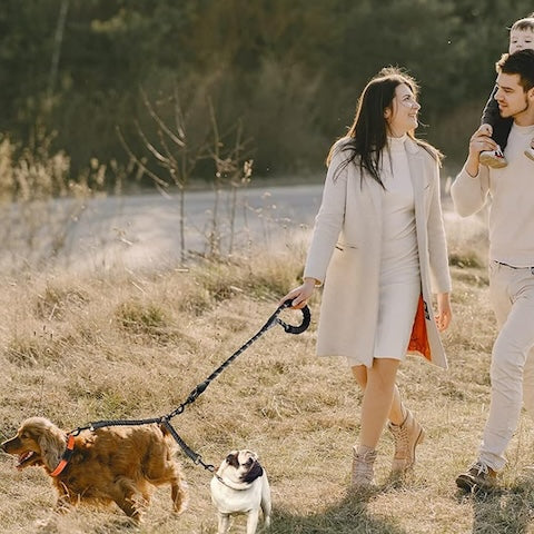 famille avec ses chiens en balade dans la campagne et leur longe pour chien double