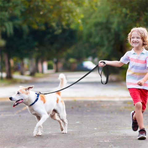 garcon en balade avec son petit chien et la longe chien noir