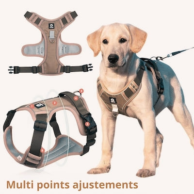 Harnais anti traction chien | Sécu-Confort™