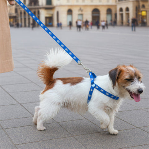 harnais-avec-laisse-integree-balade-urbaine