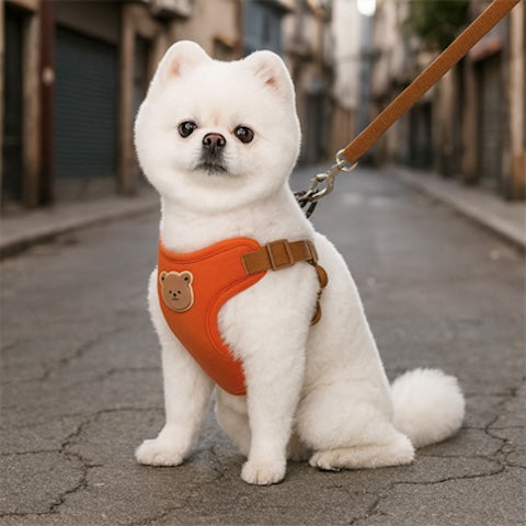 harnais avec laisse integree balde urbaine