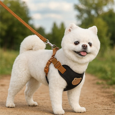 harnais avec laisse integree confortable et securitaire