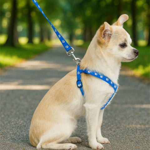 harnais-avec-laisse-iintegree-couleur-bleu