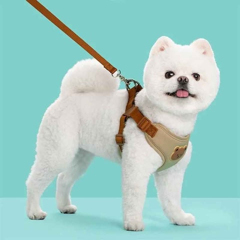 petit chien blanc dans son harnais avec laisse integree beige