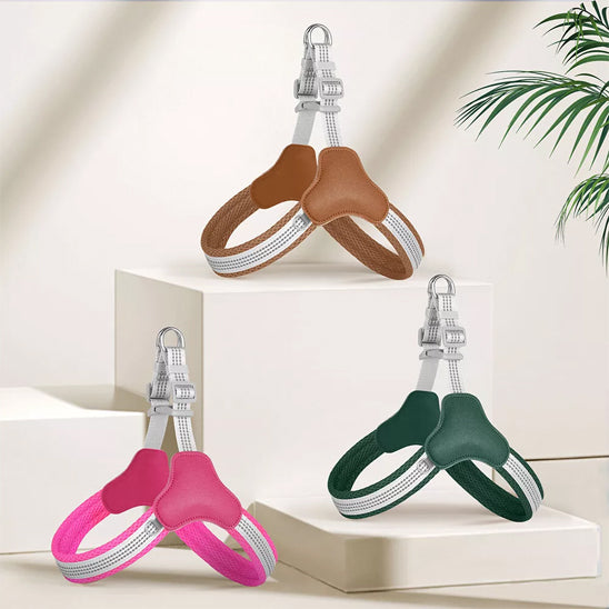 harnais pour chien choix de couleurs
