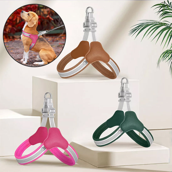 Harnais pour Chien | AeroFlex™