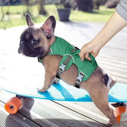 harnais pour chien poignee de transport