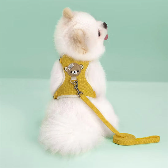 sptiz nain dans son nouveau harnais pour petit chien jaune
