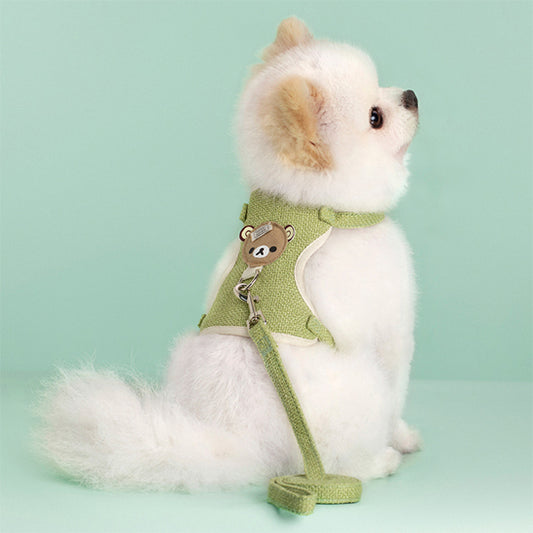 spitz nain avec son harnais pour petit chien vert