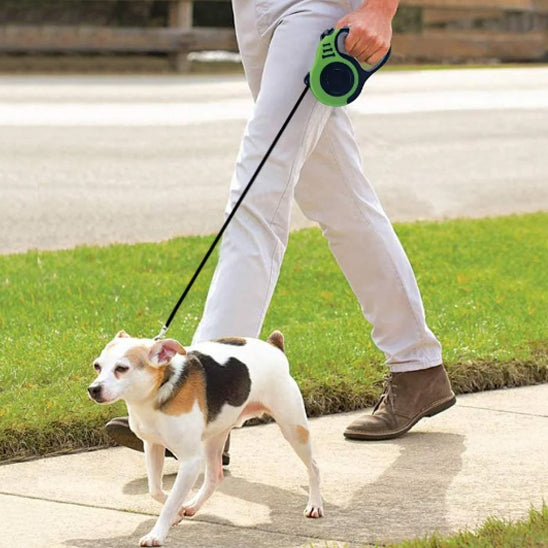 sortie-securitaire-avec -petit-chien-en laisse-chien-retractable
