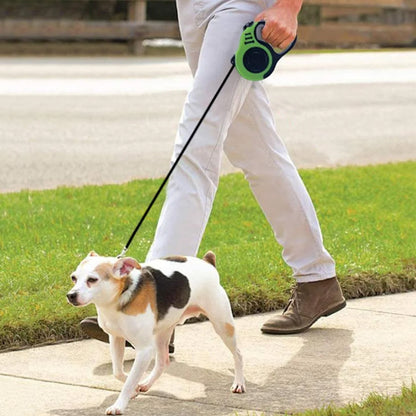 sortie-securitaire-avec -petit-chien-en laisse-chien-retractable