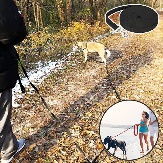Gens en randonnée avec leur chien tenu avec leur laisse de chien 