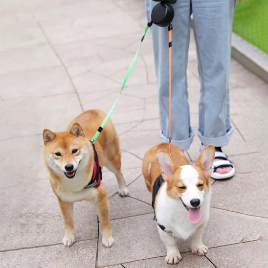 femme-promenade-avec-ses-deux-chiens-et-leur-laisse-double-pour-chien