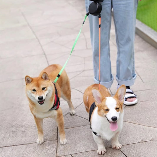 femme-promenade-avec-ses-deux-chiens-et-leur-laisse-double-pour-chien