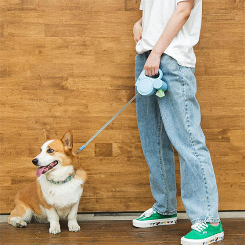homme qui tient son chien avec sa laisse enrouleur chien pres de lui