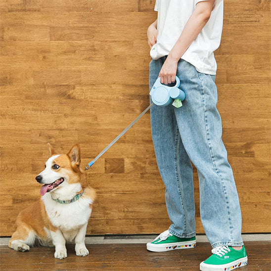 homme qui tient son chien avec sa laisse enrouleur chien pres de lui