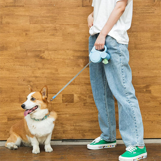 homme qui tient son chien avec sa laisse enrouleur chien pres de lui