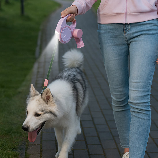 une femme et sa chienne en laisse enrouleur chien lors de la sortie en soiree